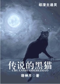 （綜漫同人）傳説的黑貓